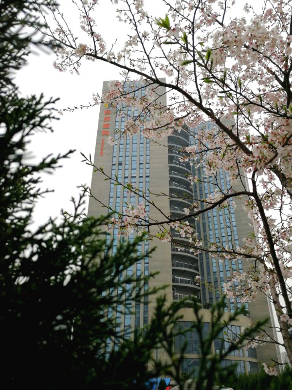 利来w66官网(中国区)_利来集团