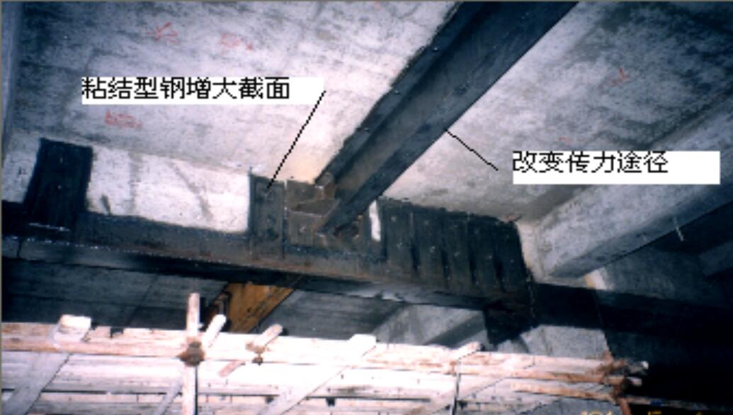 利来w66官网(中国区)_利来集团