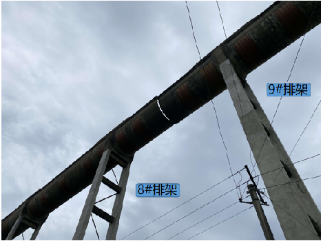 利来w66官网(中国区)_利来集团